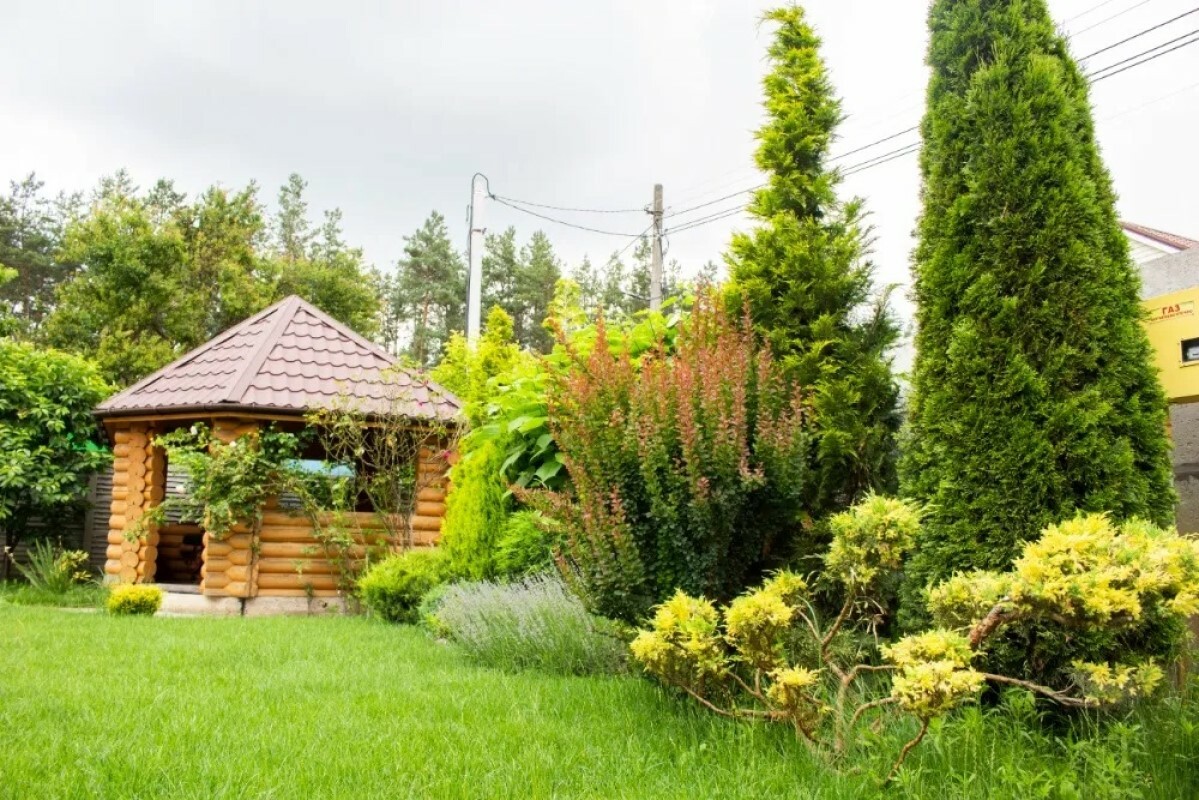 https://volzhskij.tgv-stroy.ru/storage/app/uploads/public/637/ef4/fb3/637ef4fb3605f391429275.png